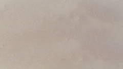 Birke MPX-B (2427 Besuche) Birke MPX-B